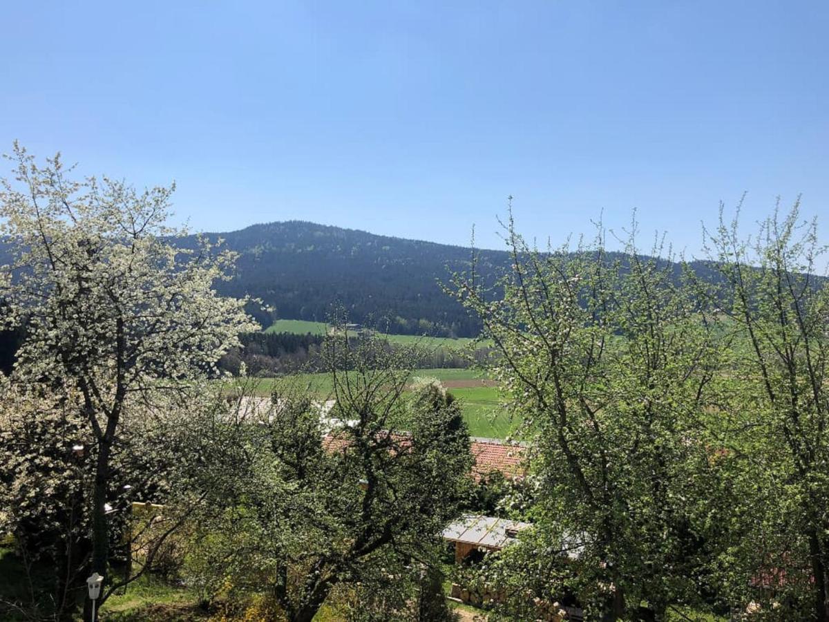 Steinbuehler Hof - Stressfrei Am Lande Hotel Kötzting Buitenkant foto