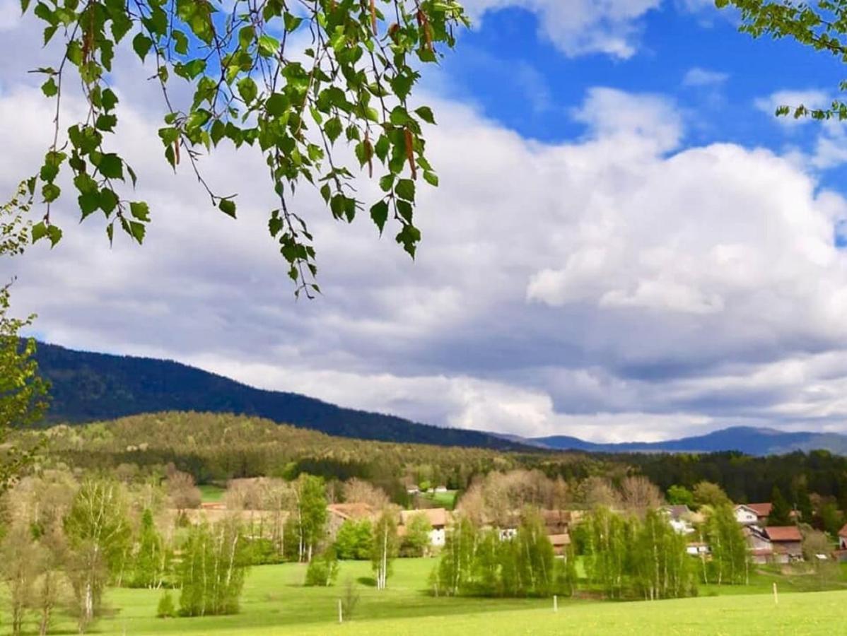 Steinbuehler Hof - Stressfrei Am Lande Hotel Kötzting Buitenkant foto
