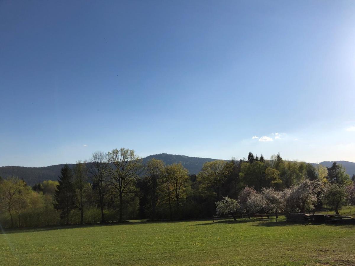 Steinbuehler Hof - Stressfrei Am Lande Hotel Kötzting Buitenkant foto