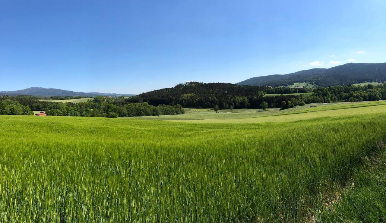 Steinbuehler Hof - Stressfrei Am Lande Hotel Kötzting Buitenkant foto